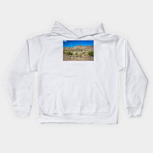 Criollo Cattle on the Open Range Kids Hoodie